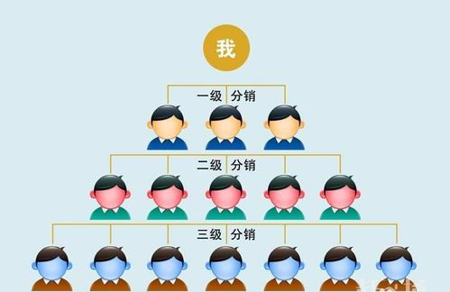 微分销系统只有三级吗？指哪三级？